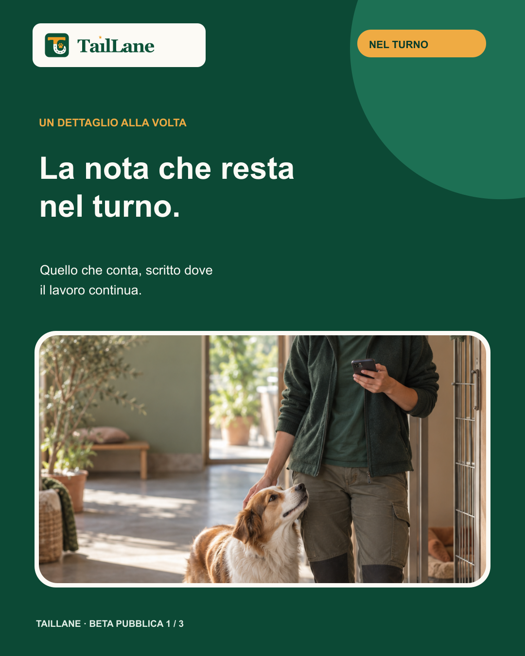 Carosello TailLane verde con wordmark approvato e titolo La nota che resta nel turno. Una fotografia editoriale mostra un’operatrice in una struttura per animali mentre accarezza un cane e controlla un telefono generico privo di contenuti leggibili.