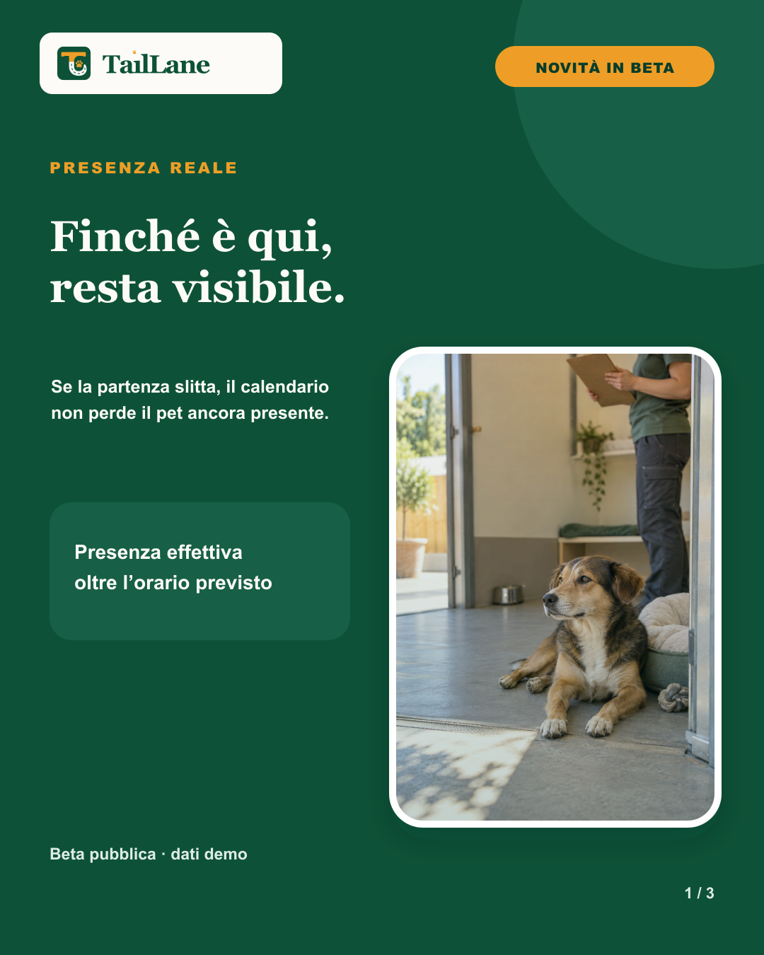 Carosello TailLane verde con wordmark approvato, badge Novità in beta, titolo Finché è qui, resta visibile e fotografia editoriale di un cane tranquillo ancora presente in una struttura pet. Una nota spiega che il calendario continua a mostrare un pet presente oltre l'orario di partenza previsto.